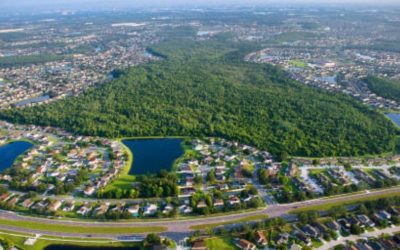 Building Success in Kissimmee